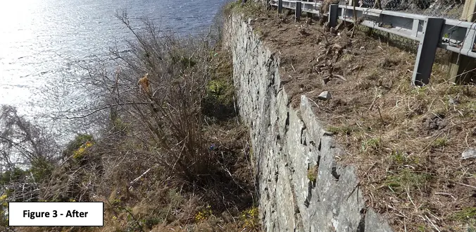 Vegetation Removal: Loch Ness